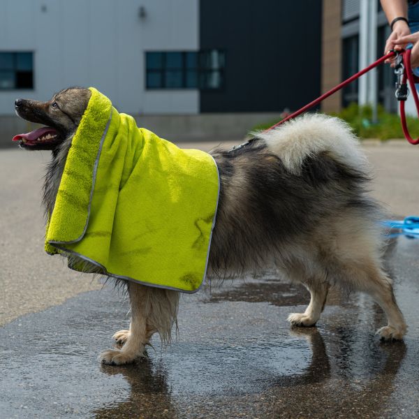 Hundehandtuch Pet Towel