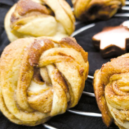 Feine Leckereien Kuchen & Torten – Rezepte für den Omnia Backofen – Backbuch