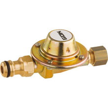 Wasserregler, RVS 8