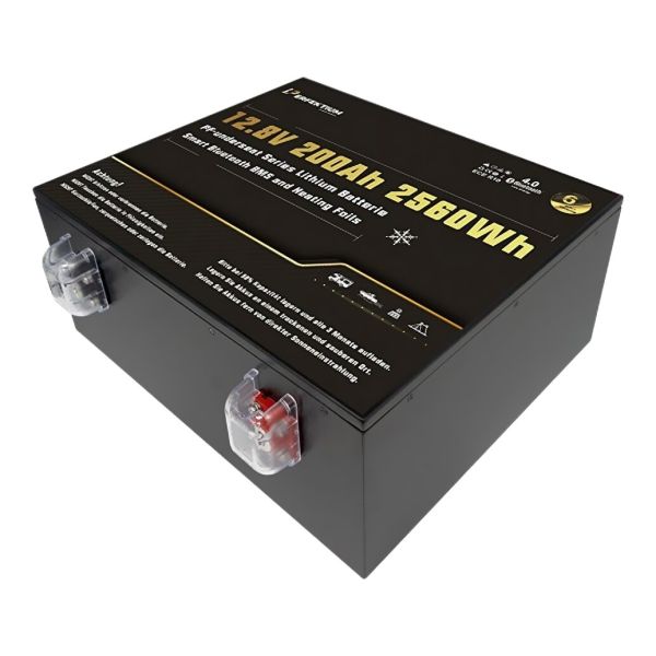 Lithium Batterie PF-Underseat-12 mit Heizung, 100 Ah